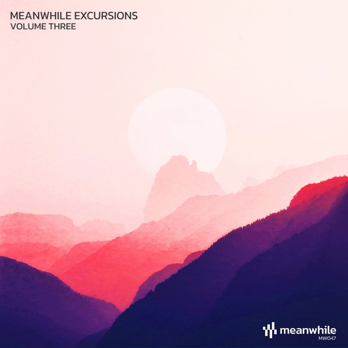 VA - Meanwhile Excursions, Vol. 3 [MW047]